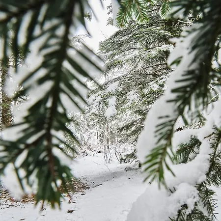Апартаменты Herbouilly - Vercors
