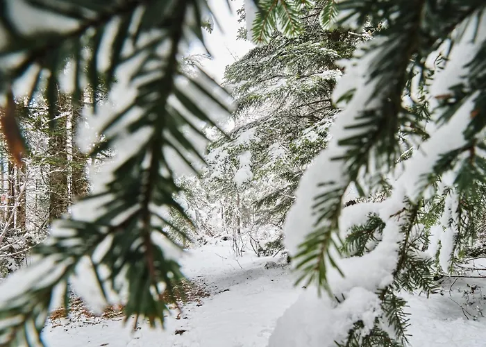 Herbouilly - Vercors